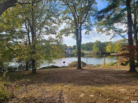 Tiny photo for 11799 E Webb Road, Mt Vernon, IL 62864 (MLS # EB460182)