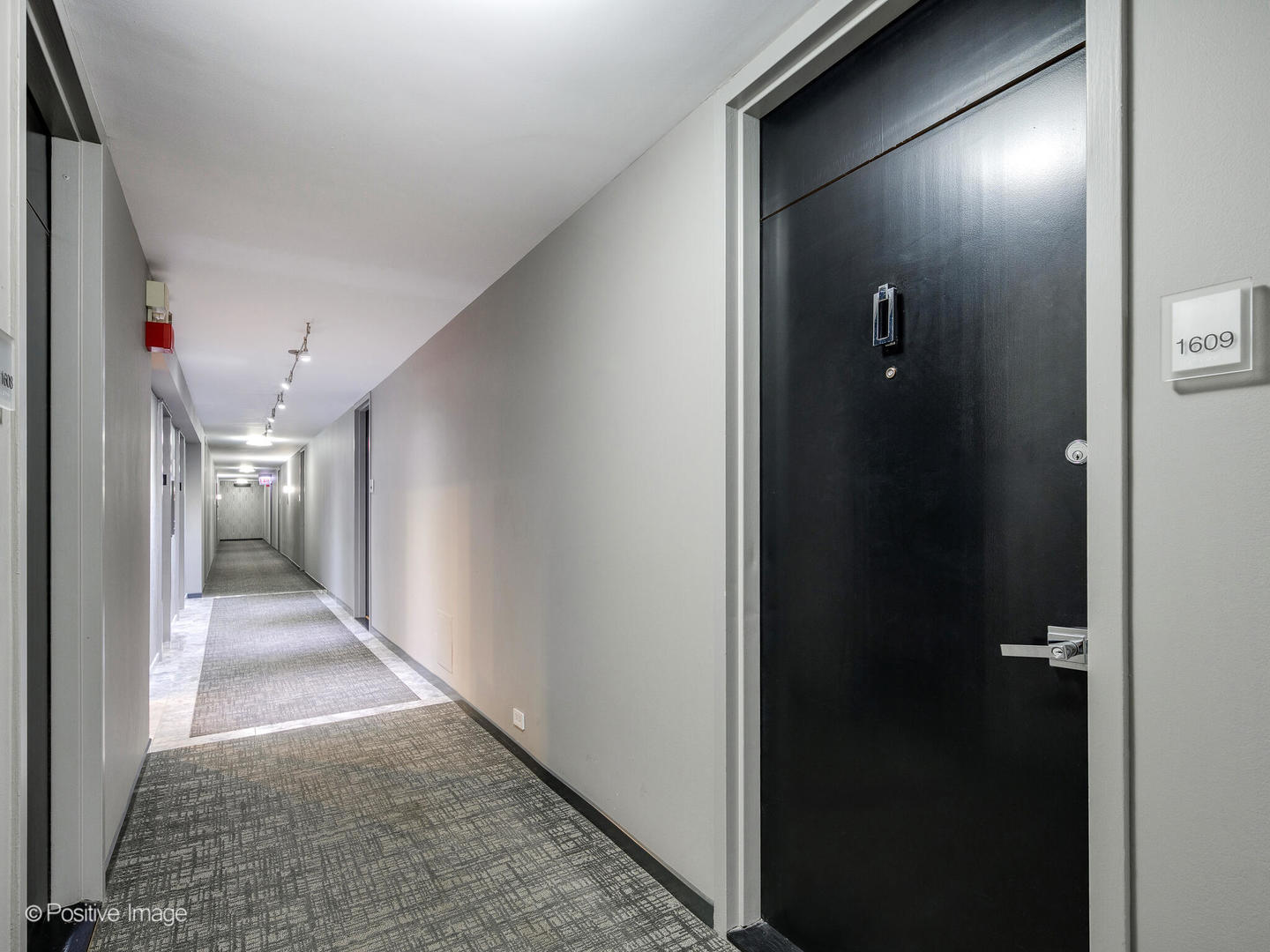 1560 N Sandburg Terrace 1609J