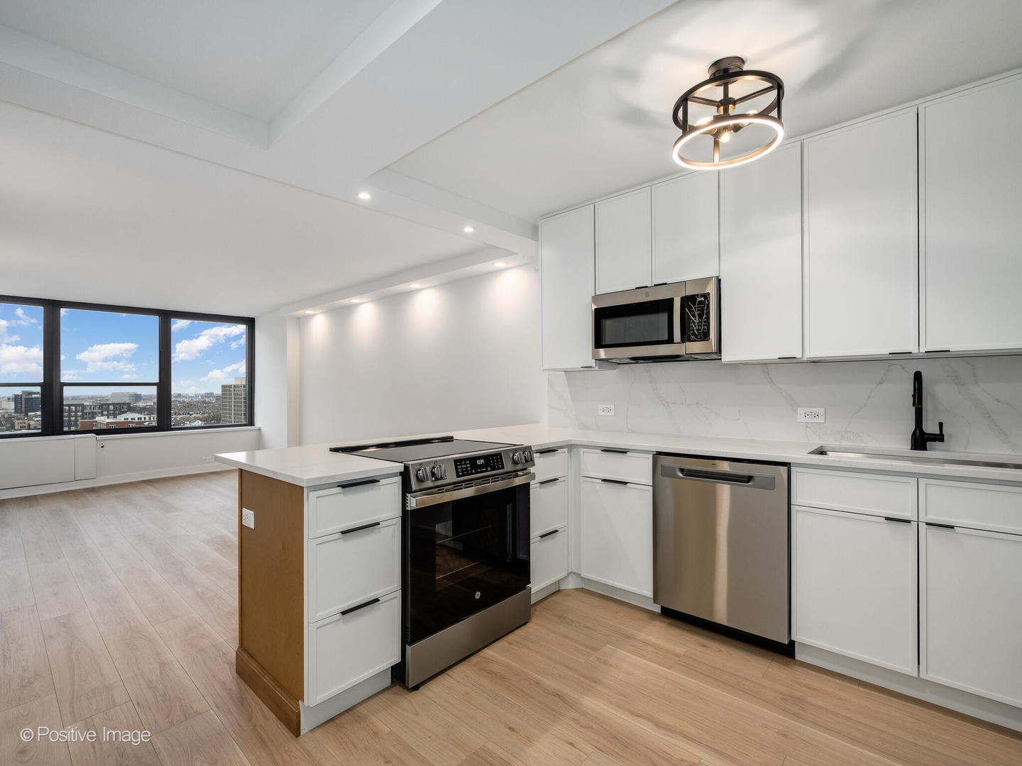 1560 N Sandburg Terrace 1609J