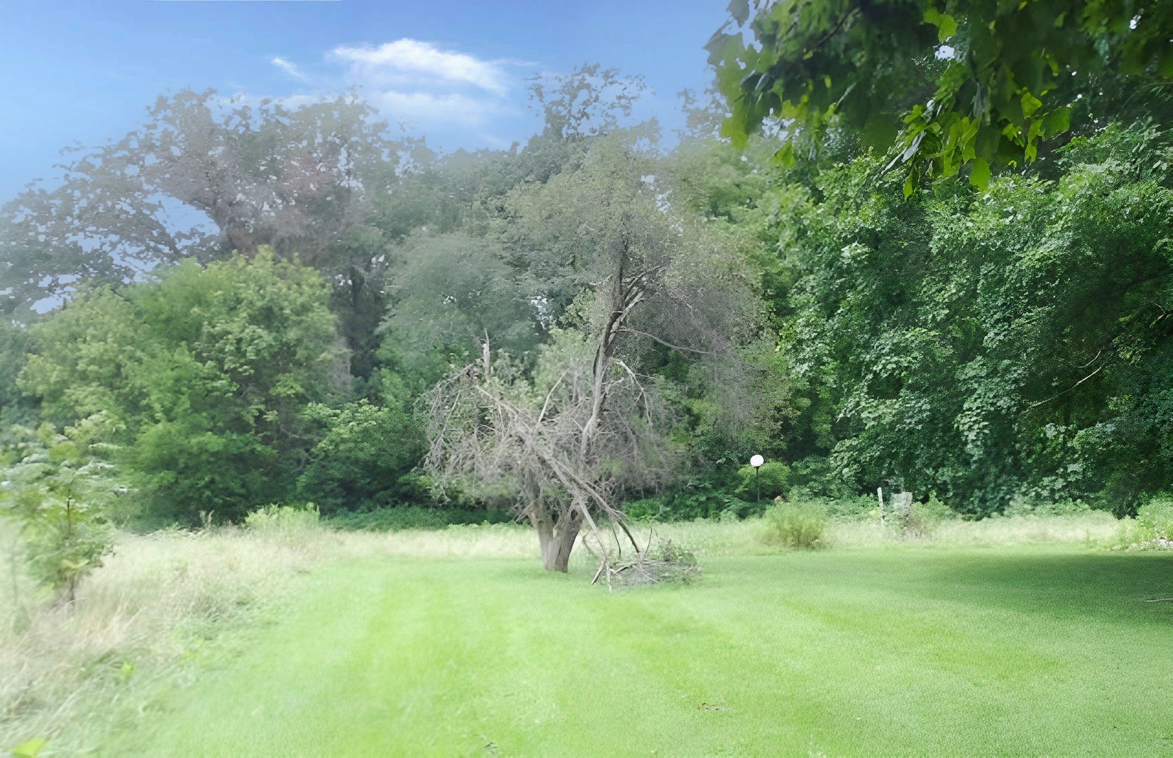6272 Old Dam Road