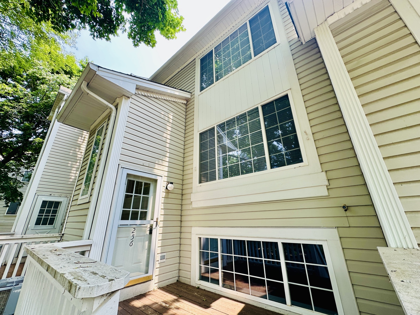 256 W Treehouse Lane