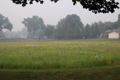 Tiny photo for Buffalo Grove, IL 60089 (MLS # 12707854)