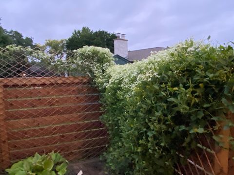 Tiny photo for 419 S Royal Court, Palatine, IL 60067 (MLS # 12528186)