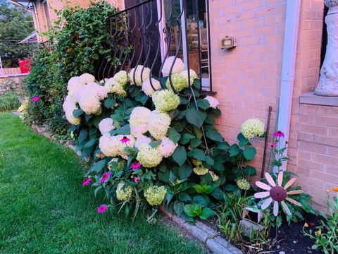 Tiny photo for 1205 Winston Drive, Melrose Park, IL 60160 (MLS # 12583913)