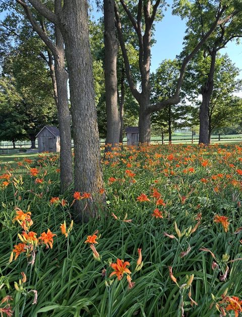 Tiny photo for 2411 Goldberg Road, Bloomington, IL 61705 (MLS # 12570073)