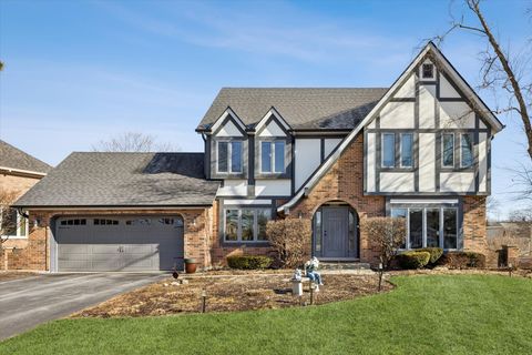 Photo of 4525 Arbor View Drive, Lisle, IL 60532 (MLS # 12565730)