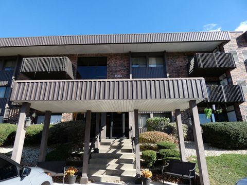 Photo of 1503 Woodbridge Road #2B, Joliet, IL 60436 (MLS # 12508946)