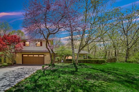 32381 N Forest Drive Grayslake IL 60030