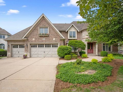 158 Los Lagos Drive Bloomingdale IL 60108