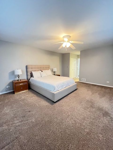 Tiny photo for Algonquin, IL 60102 (MLS # 12632150)
