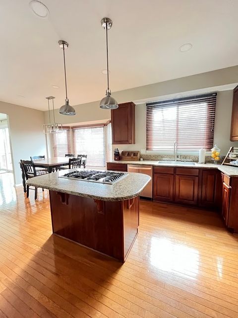 Tiny photo for Algonquin, IL 60102 (MLS # 12632150)