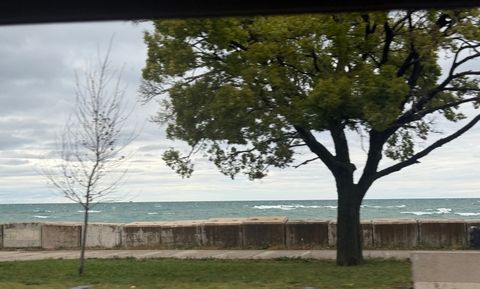 Tiny photo for 5488 S Everett Avenue #2, Chicago, IL 60615 (MLS # 12491680)