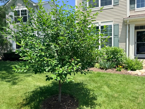 Tiny photo for 327 Shelbourne Road, Volo, IL 60073 (MLS # 12678628)