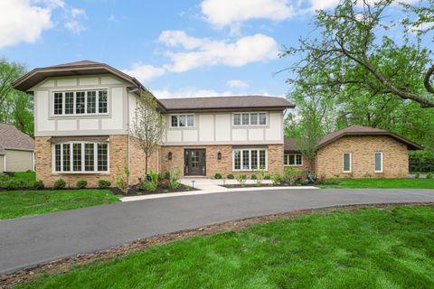 Photo of 12023 W Mackinac Road, Homer Glen, IL 60491 (MLS # 12646244)