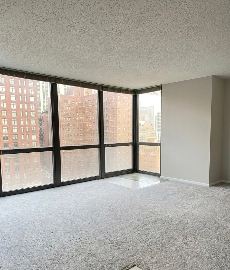 1122 N CLARK Street 1607