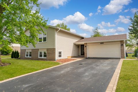 486 Buckthorn Terrace Buffalo Grove IL 60089