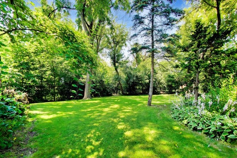 Tiny photo for 700 N Maple Street, Prospect Heights, IL 60070 (MLS # 12790802)