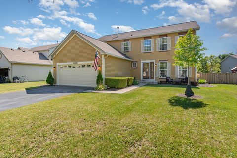 Photo of 1420 Marigold Lane, Minooka, IL 60447 (MLS # 12455919)