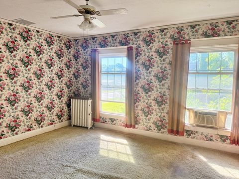 Tiny photo for 310 E 3rd Street, Metropolis, IL 62960 (MLS # 12686017)