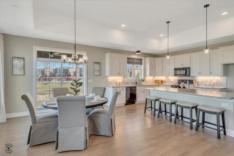 Tiny photo for 19157 BUNCRANA Circle, Tinley Park, IL 60487 (MLS # 12540151)