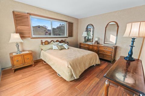 Tiny photo for 315 Cottonwood Court, Schaumburg, IL 60193 (MLS # 12523335)