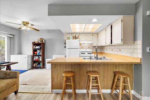 Tiny photo for 1228 INVERRARY Lane #21D, Palatine, IL 60074 (MLS # 12626488)