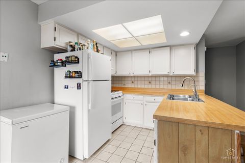 Tiny photo for 1228 INVERRARY Lane #21D, Palatine, IL 60074 (MLS # 12626488)