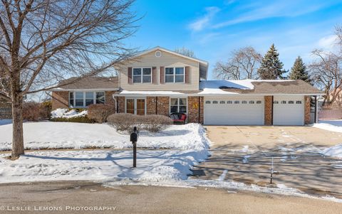 1484 Hodlmair Court Elk Grove Village IL 60007