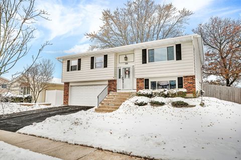Photo of 700 Evergreen Court, Romeoville, IL 60446 (MLS # 12526936)