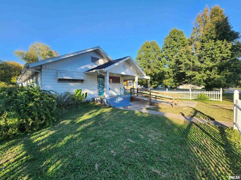 Tiny photo for 2308 ALEXANDER Street, Murphysboro, IL 62966 (MLS # EB460223)