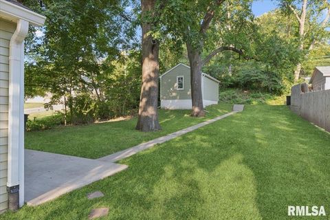 Tiny photo for 4105 11TH Street, Rock Island, IL 61201 (MLS # 12624971)