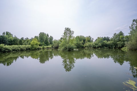 Tiny photo for 00 Burr Oak Road, Capron, IL 61012 (MLS # 12737872)