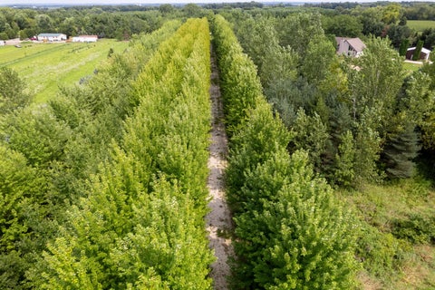 Tiny photo for 00 Burr Oak Road, Capron, IL 61012 (MLS # 12737872)
