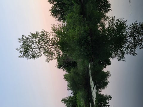 Tiny photo for 00 Burr Oak Road, Capron, IL 61012 (MLS # 12737872)