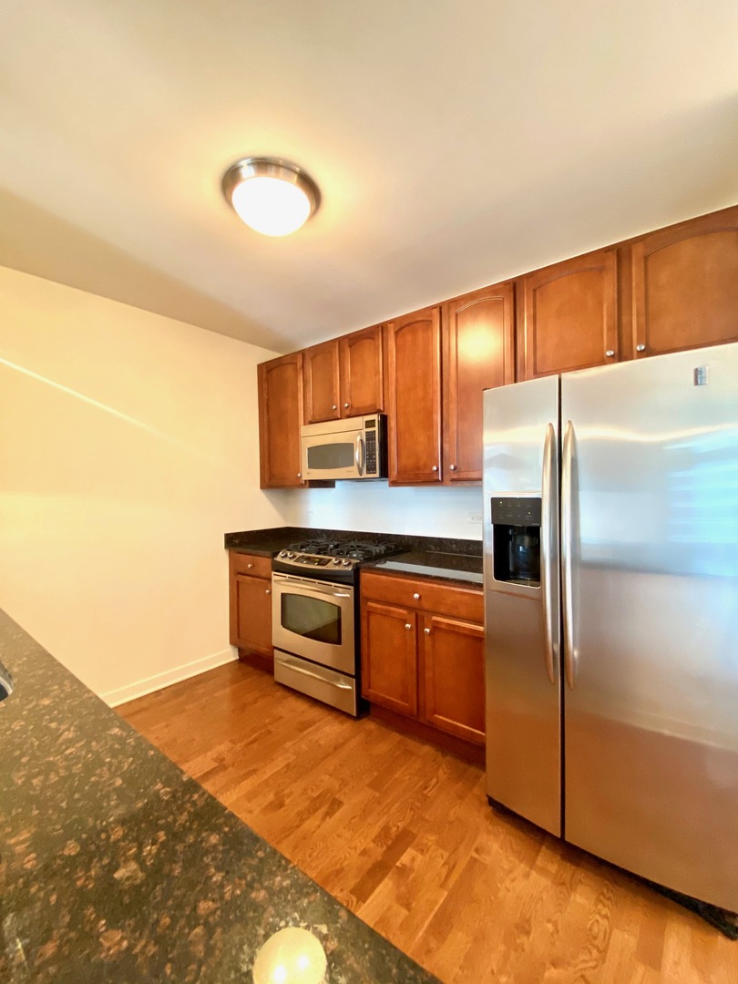 1160 S Michigan Avenue 1606