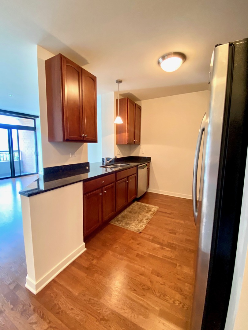 1160 S Michigan Avenue 1606