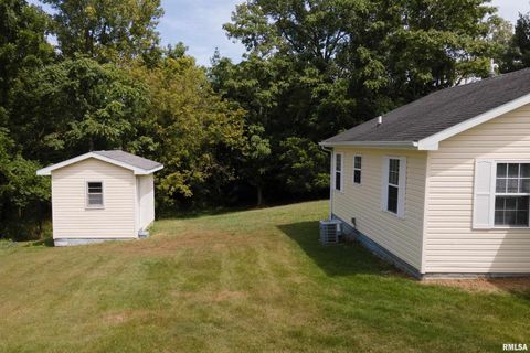 Tiny photo for 491 WELLS Road, Murphysboro, IL 62966 (MLS # EB459634)