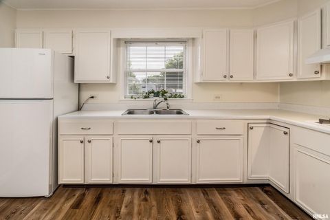 Tiny photo for 491 WELLS Road, Murphysboro, IL 62966 (MLS # EB459634)