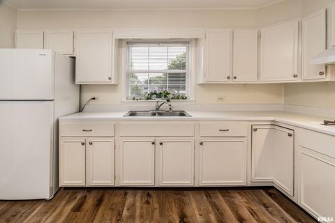 Tiny photo for 491 WELLS Road, Murphysboro, IL 62966 (MLS # EB459634)