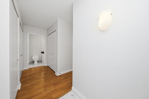 Tiny photo for Chicago, IL 60611 (MLS # 12638353)