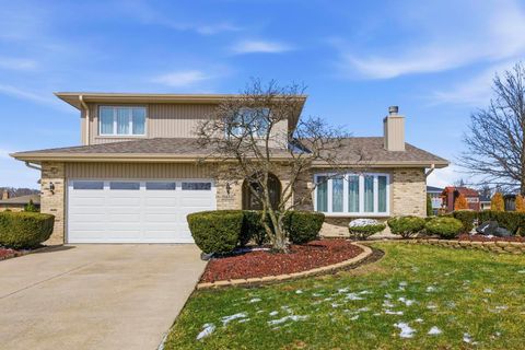 15652 White Pine Court Homer Glen IL 60491