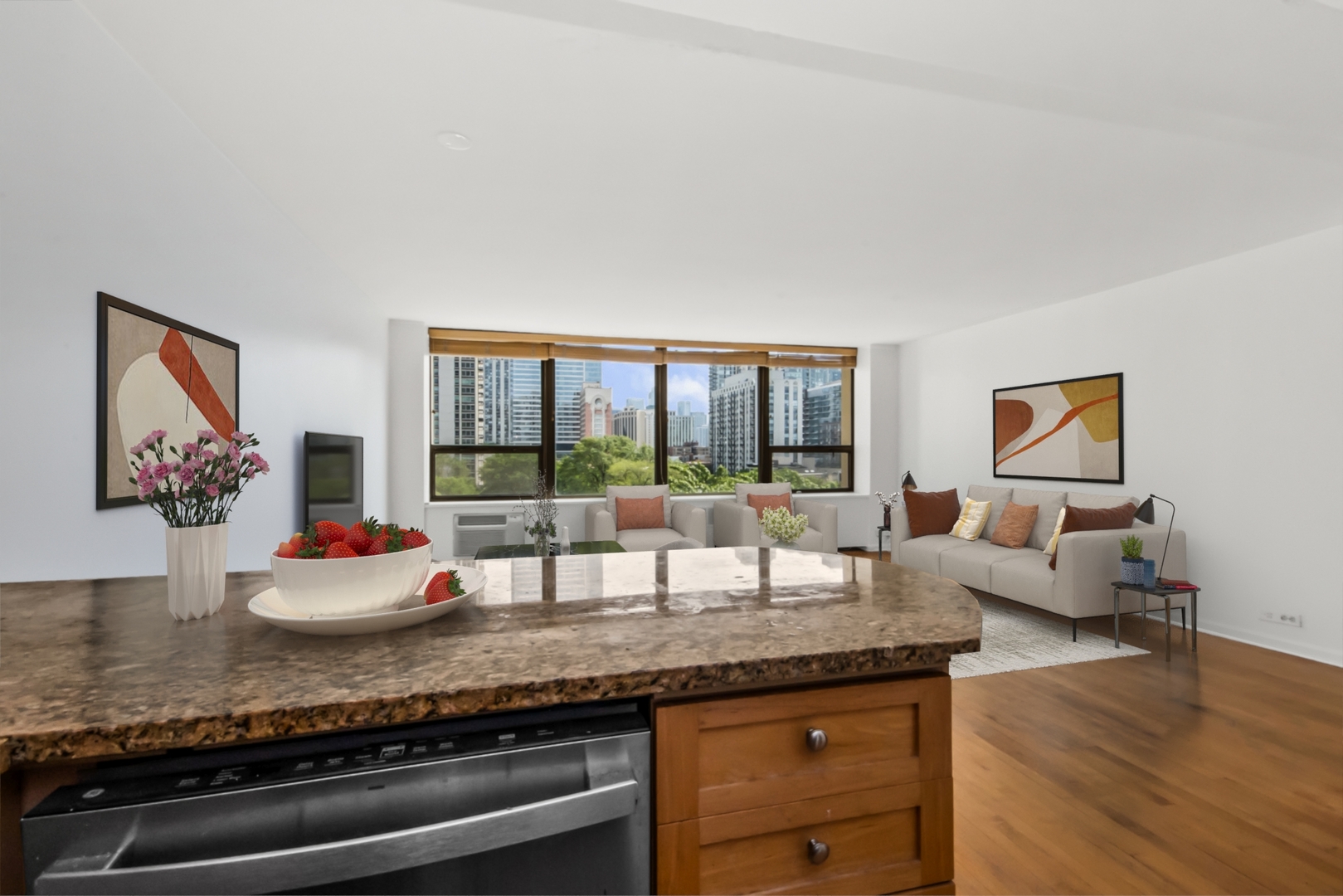1360 N Sandburg Terrace 703C