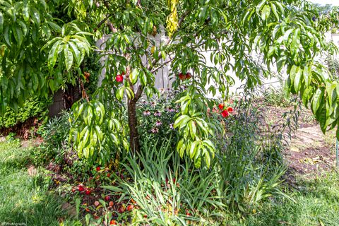 Tiny photo for 7218 Sandy Lane, Tinley Park, IL 60477 (MLS # 12441515)