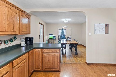 Tiny photo for 7302 HOFFMAN Road, Centralia, IL 62801 (MLS # EB460673)