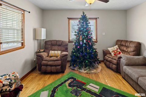 Tiny photo for 7302 HOFFMAN Road, Centralia, IL 62801 (MLS # EB460673)