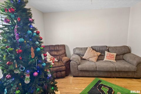 Tiny photo for 7302 HOFFMAN Road, Centralia, IL 62801 (MLS # EB460673)