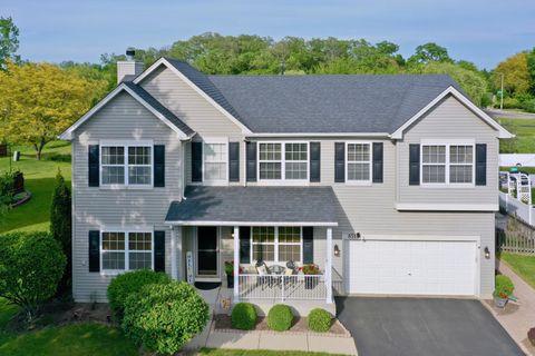851 Crabapple Drive Crystal Lake IL 60014