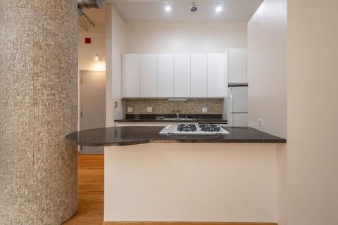 Tiny photo for 130 S CANAL Street #211, Chicago, IL 60606 (MLS # 12510829)
