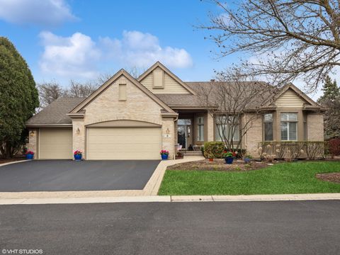 6 Black Diamond Court Lake In The Hills IL 60156