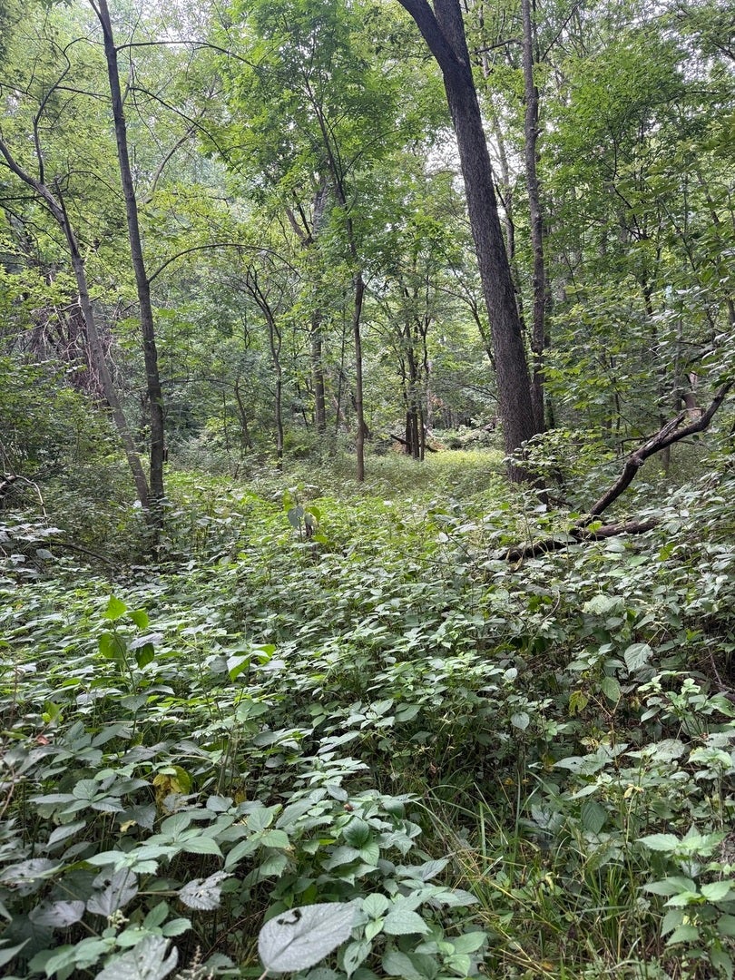 0 Plum Hollow Court